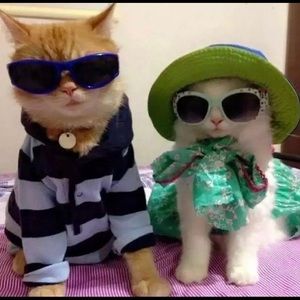 Meet your Posher, Sophia